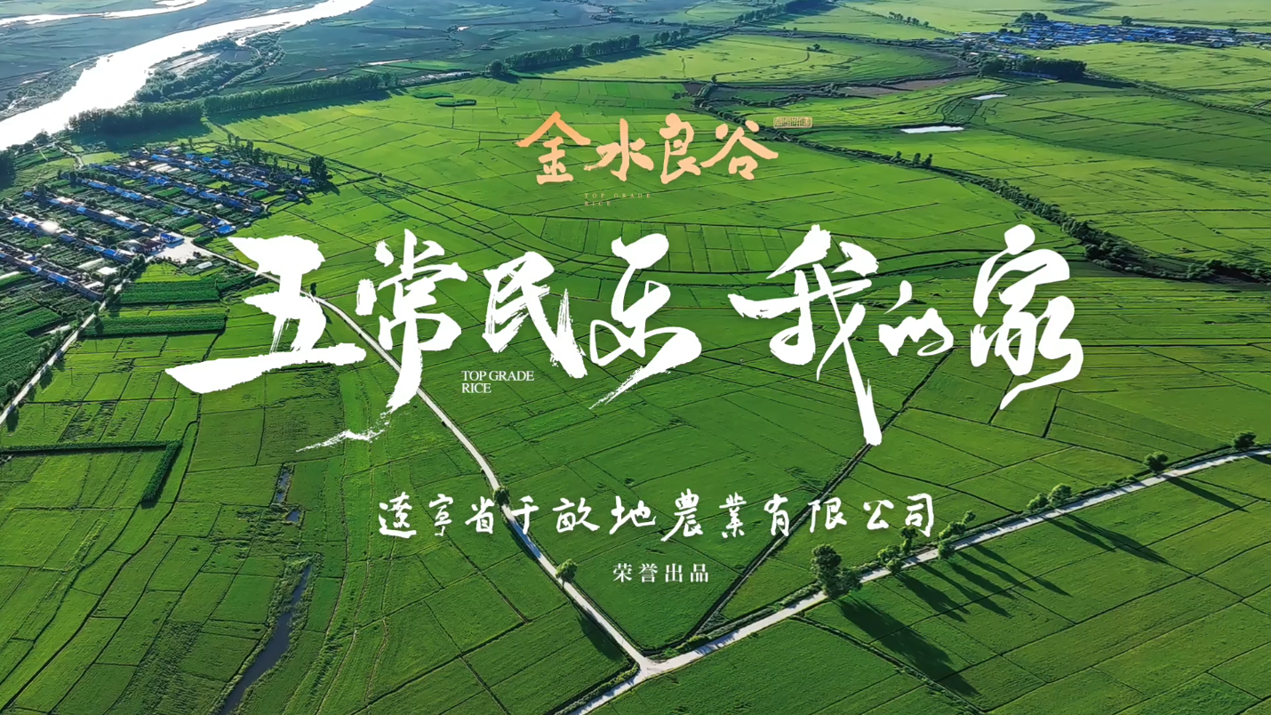 五常大米产品宣传